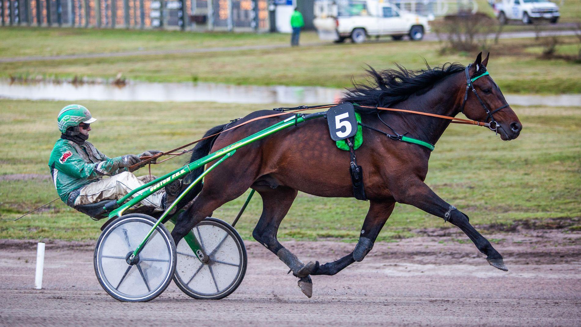 Hippos ja ATG perustaa yrityksen